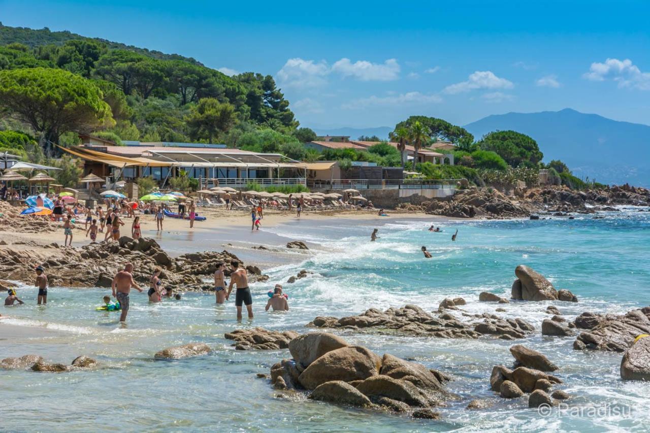 Studio Rue Pietonne Ajaccio Ajaccio  Kültér fotó